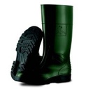 P43