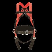 ACCESUS ARNES A50B 140KG 2P+CINTURON